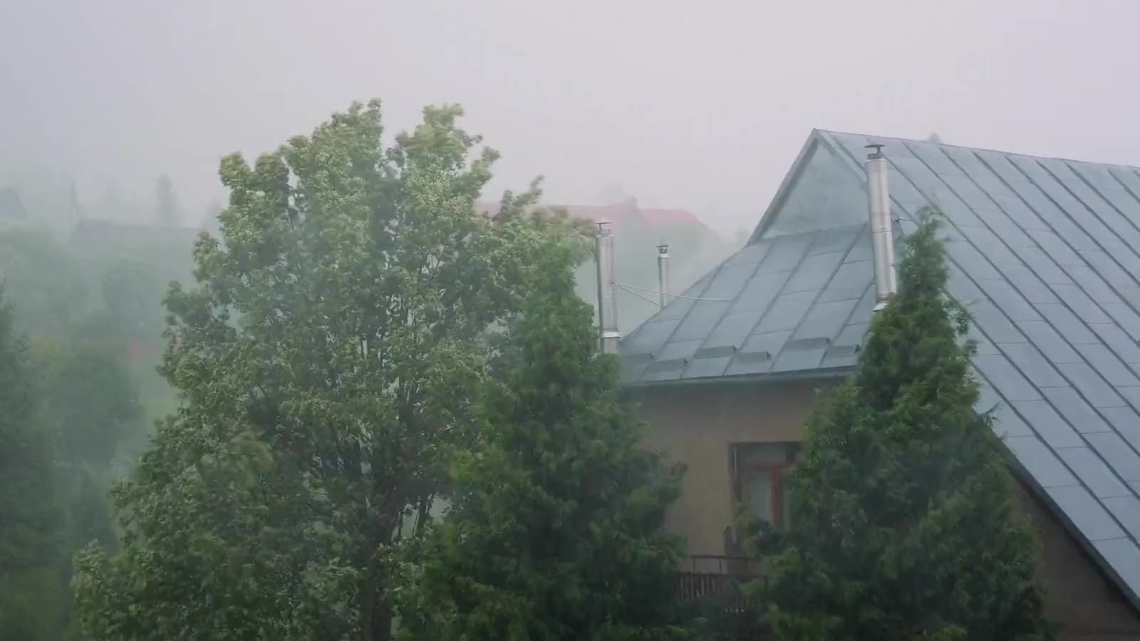 Storm Damage