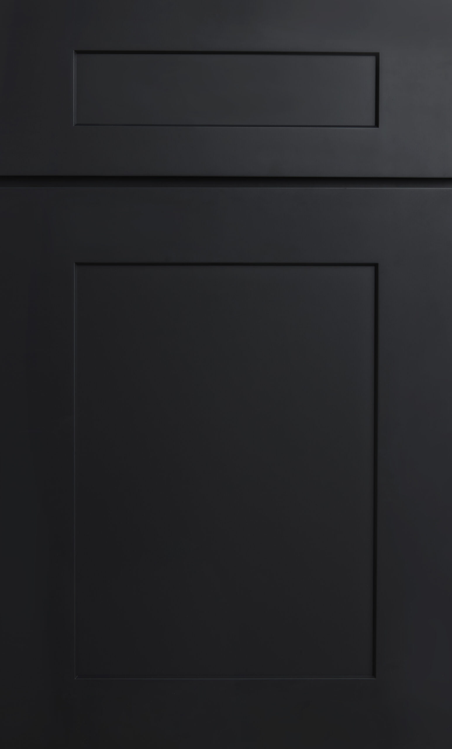 TSC Matte Black cabinet door