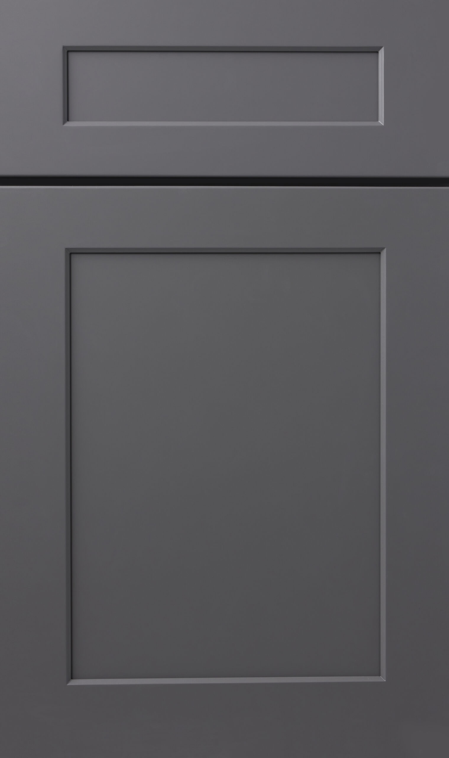 TSG Charcoal cabinet door