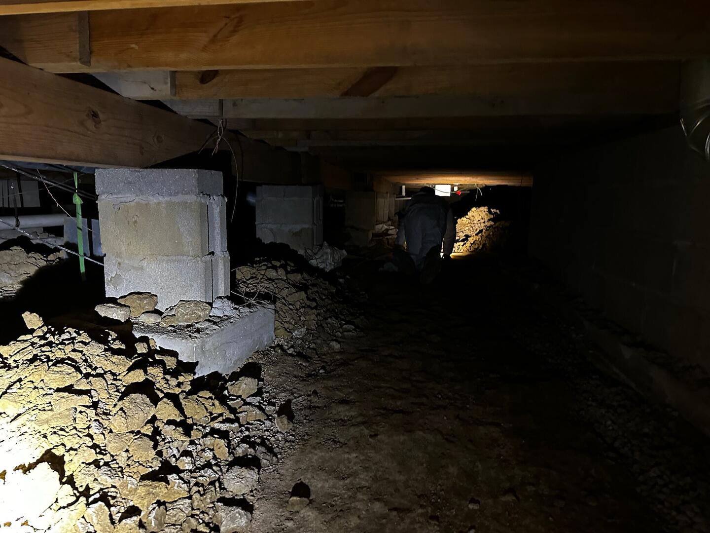 Towne Pest Control team