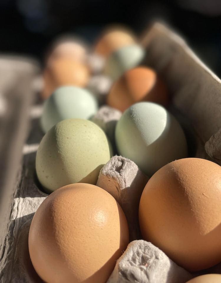 Farm Fresh Eggs